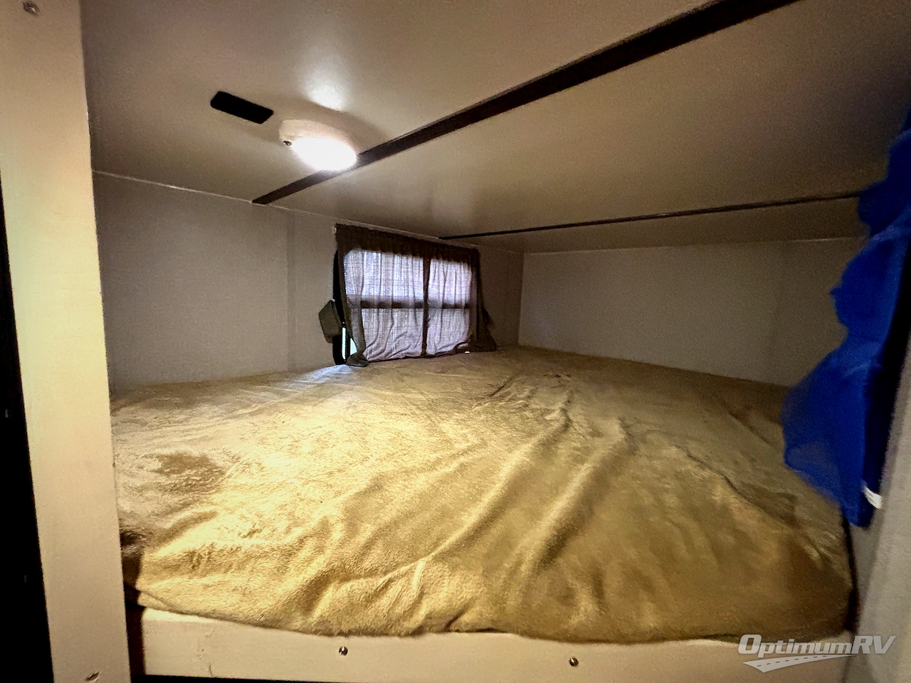 2019 Winnebago Towables Minnie 2455BHS Photo 12
