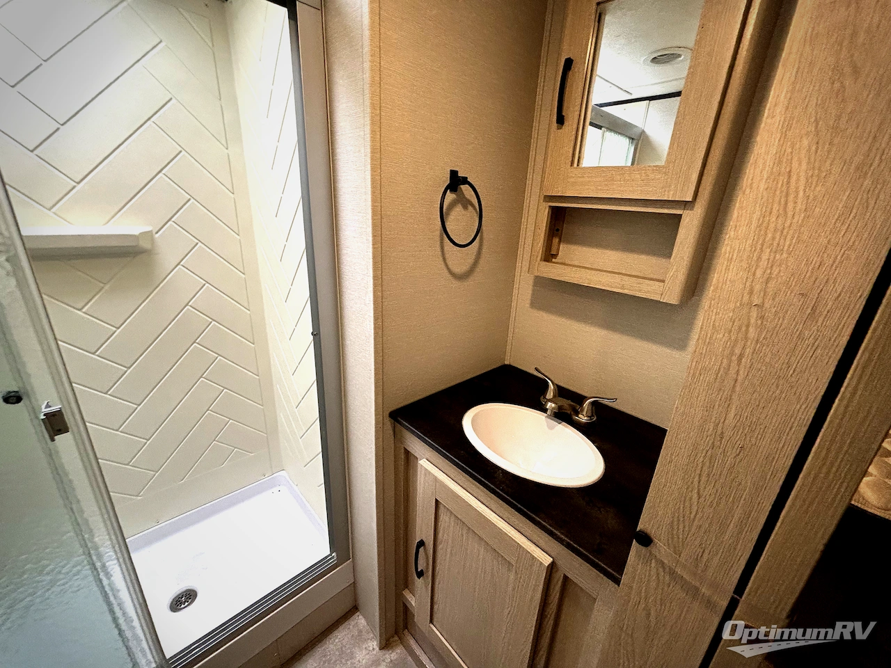 2021 Coachmen Apex Ultra-Lite 293RLDS Photo 10