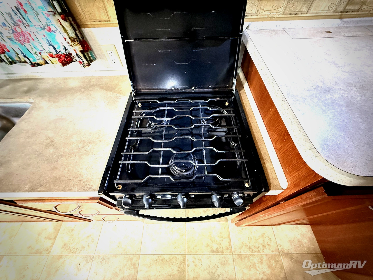 2008 Fleetwood Bounder 35E Photo 17