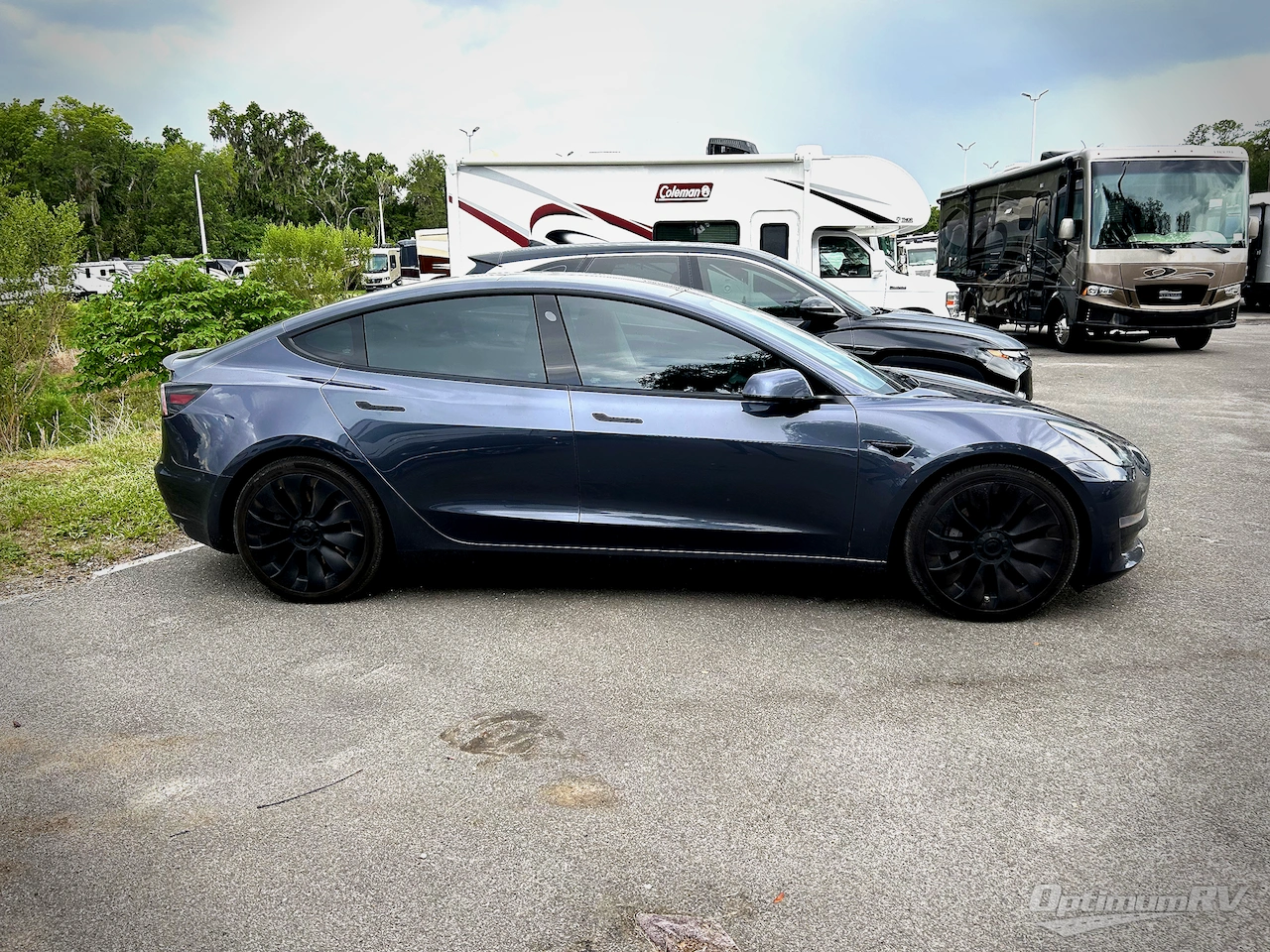2021 Tesla Tesla Model 3 Photo 3
