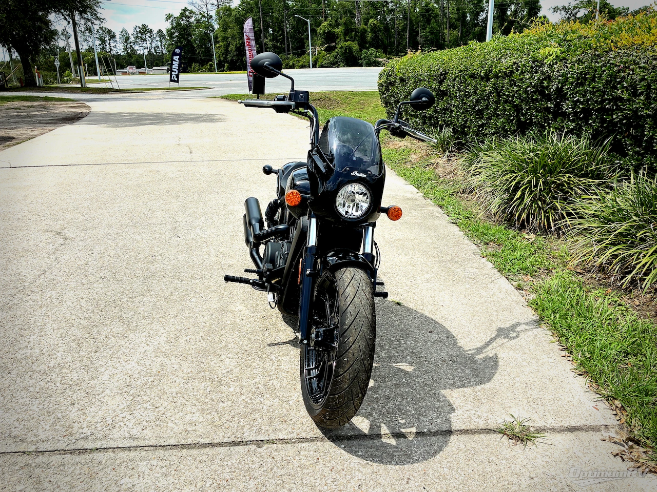 2023 Indian Motorcycle Indian Scout Photo 8