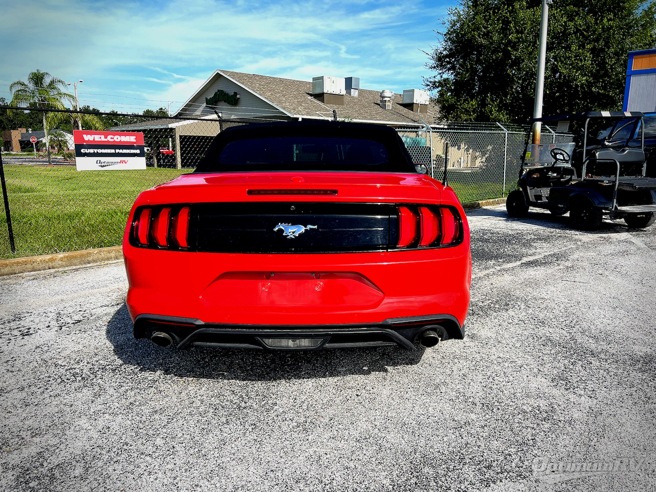 2019 Ford Ford Mustang Photo 5