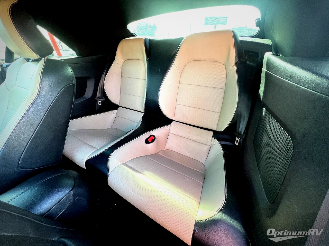2019 Ford Ford Mustang Photo 11