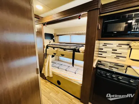 2019 Thor ACE 30.2 RV Photo 3